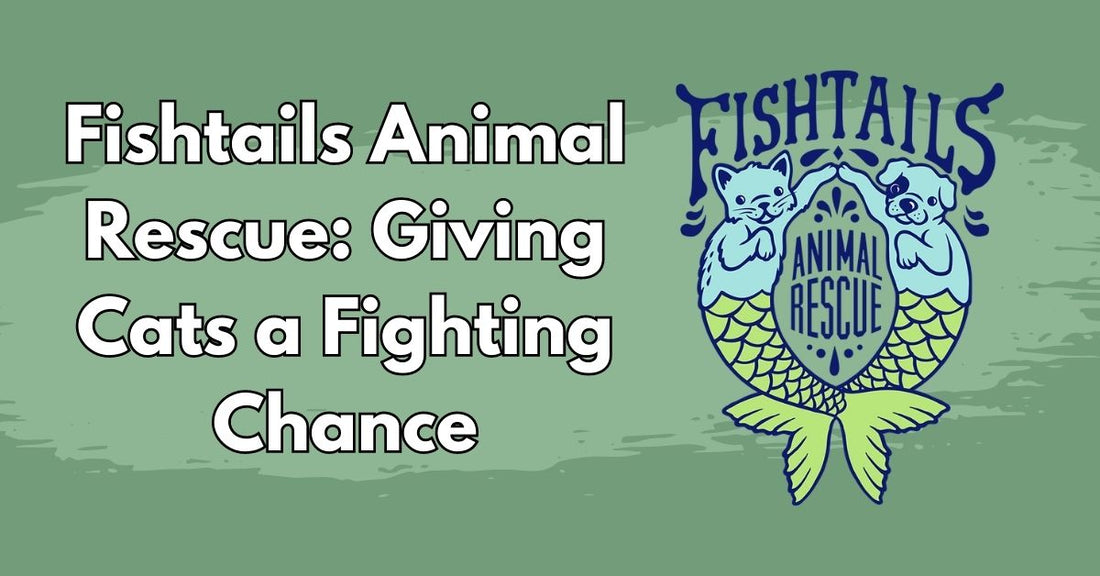 Fishtails Animal Rescue Partners with Char and Whiskers to Support Adoptable Philly Cats