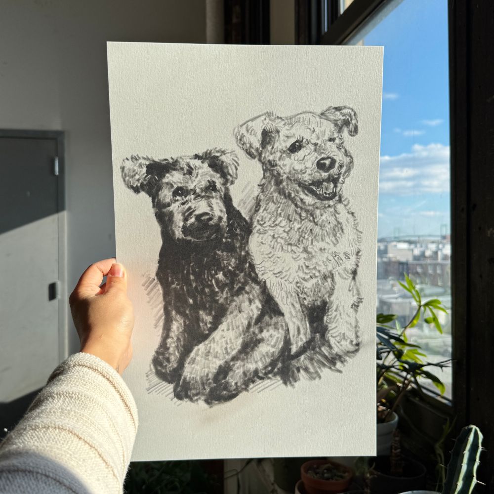Two Pet Monochrome Sketch Custom Pet Portrait