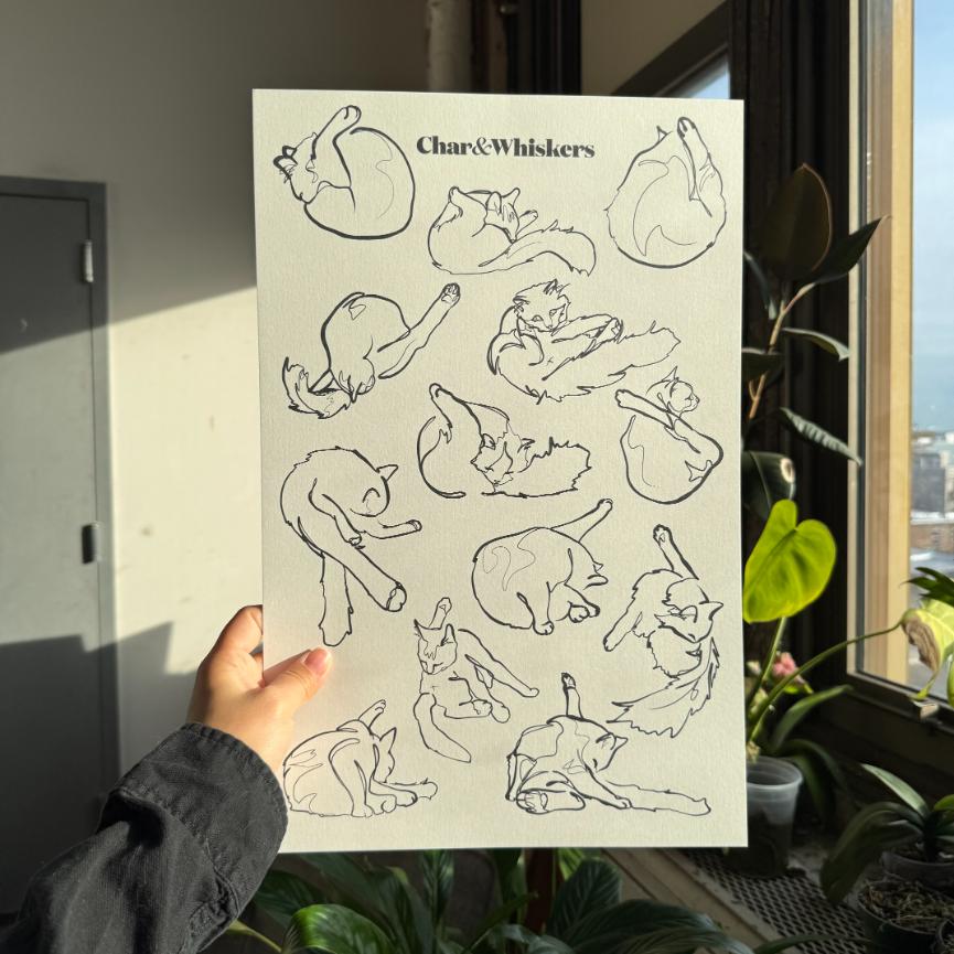 Cat Grooming Line Art Poster