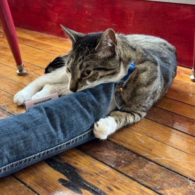 XL Denim Nood Catnip Toy