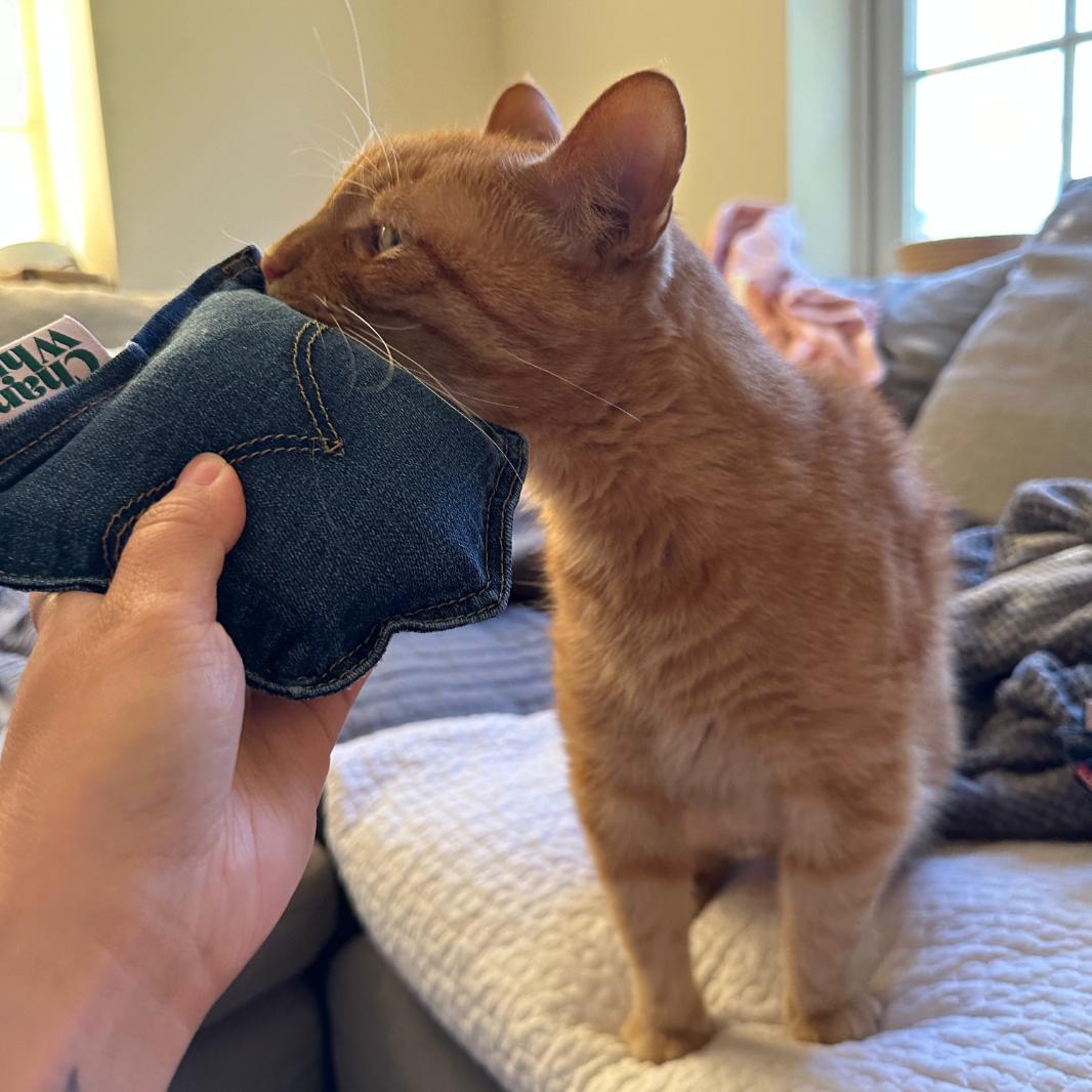 Denim Pocket Catnip Toy