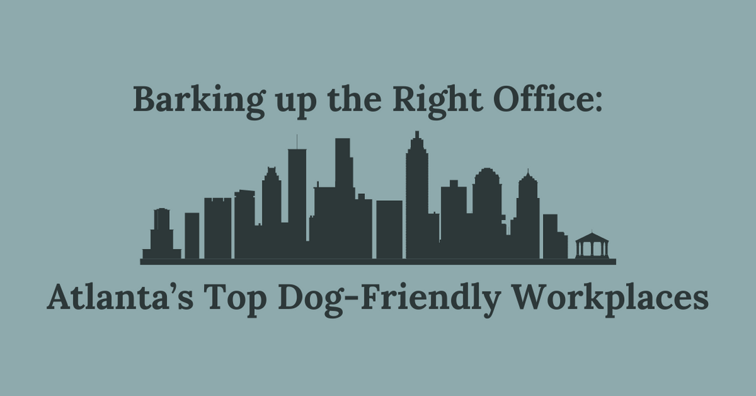 Barking Up the Right Office: Atlanta's Top Dog-Friendly Workplaces