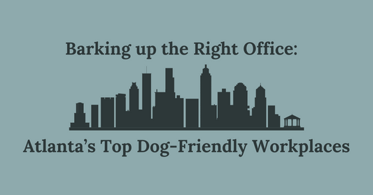 Barking Up the Right Office: Atlanta's Top Dog-Friendly Workplaces