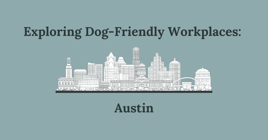 Exploring Dog-Friendly Workplaces in Austin