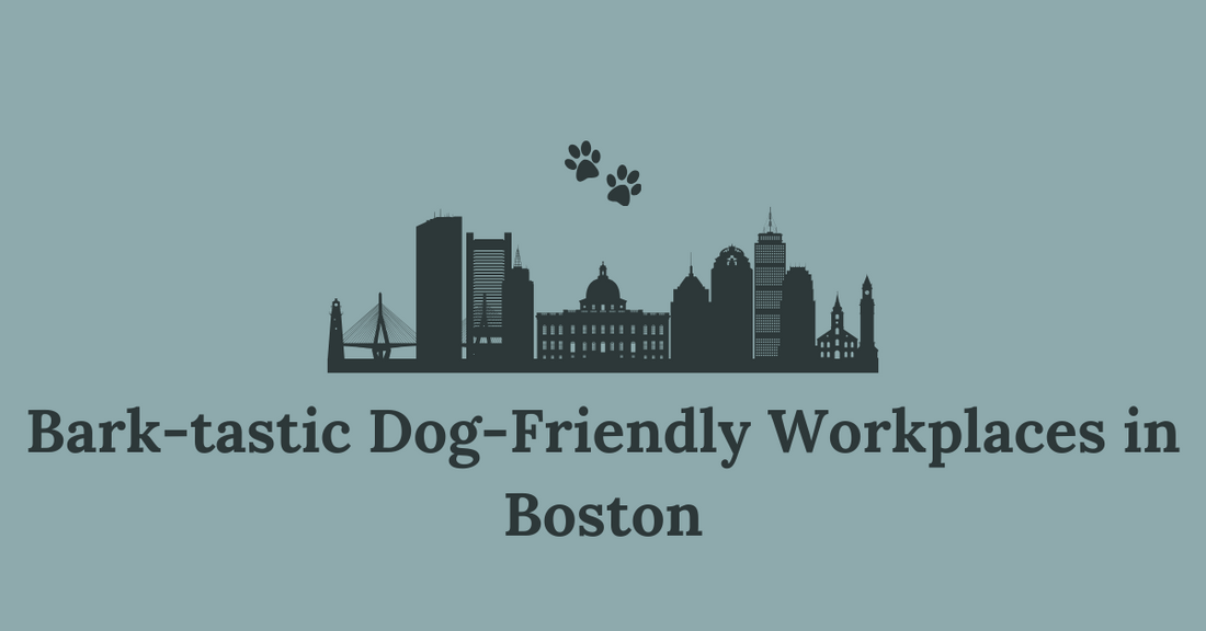 Bark-tastic Dog-Friendly Workplaces in Boston