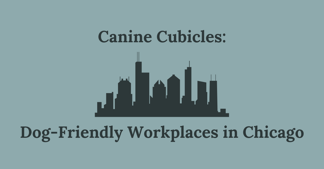 Canine Cubicles: Dog-Friendly Workplaces in Chicago