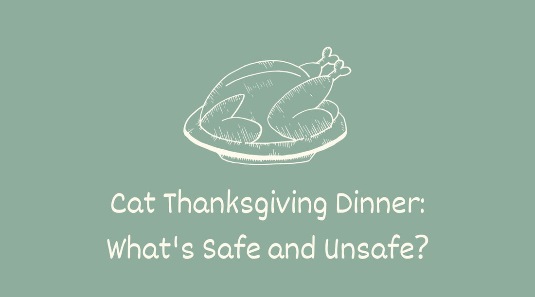 Cat Thanksgiving Dinner: What's Safe and Unsafe for Your Feasting Felines