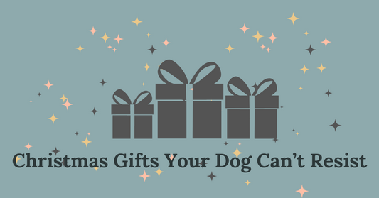 Christmas Gifts Your Dog Can't Resist