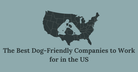 The Best Dog-Friendly Companies to Work For in The US
