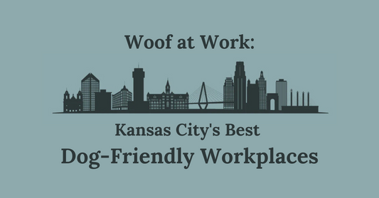 Woof at Work: Kansas City's Best Dog-Friendly Workplaces