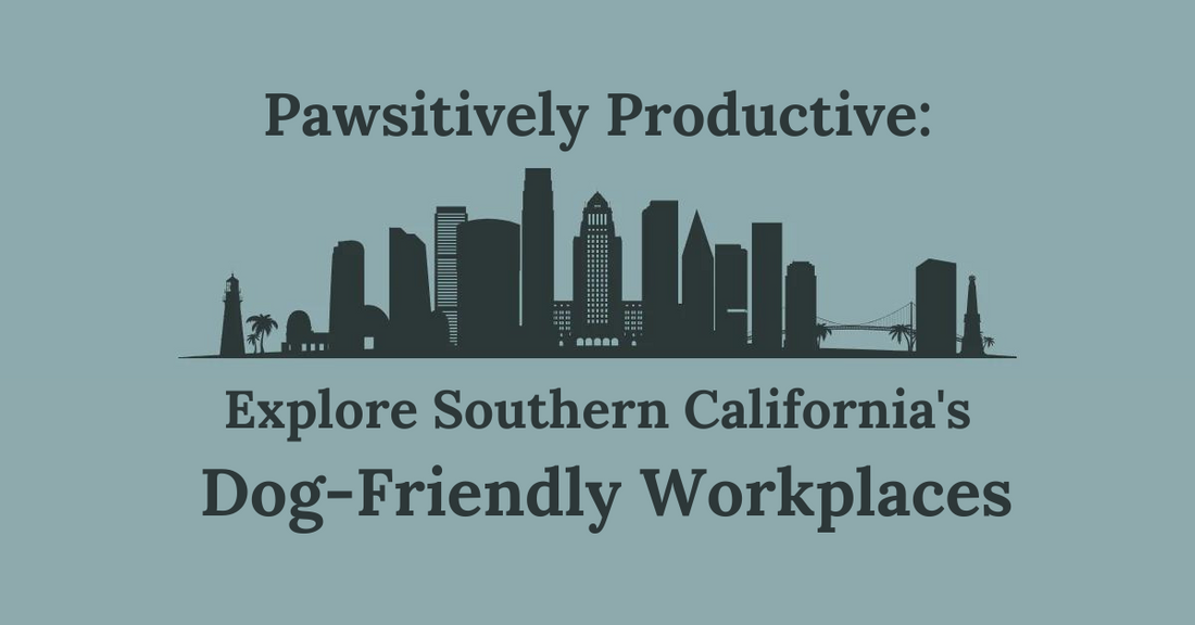 Pawsitively Productive: Explore Southern California's Dog-Friendly Workplaces