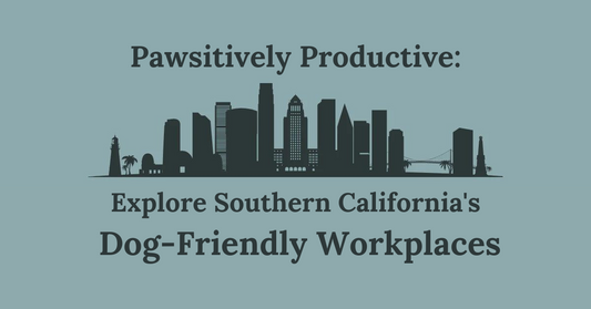 Pawsitively Productive: Explore Southern California's Dog-Friendly Workplaces