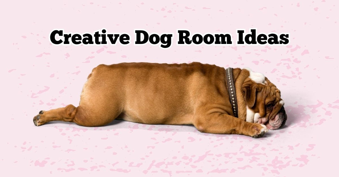 Creative Dog Room Ideas That Are Barking Pawsome