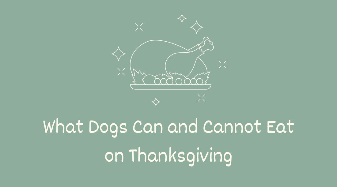 Your Dog's Thanksgiving Meal: What They Can and Cannot Eat