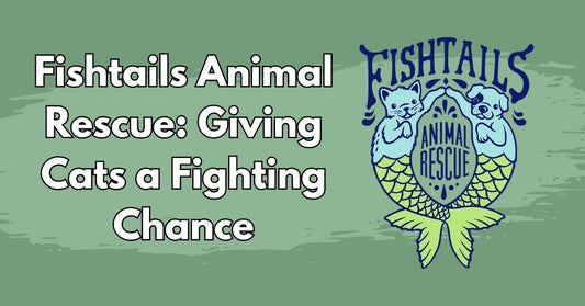 Fishtails Animal Rescue Partners with Char and Whiskers to Support Adoptable Philly Cats