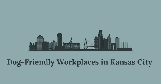 Dog-Friendly Workplaces in Kansas City