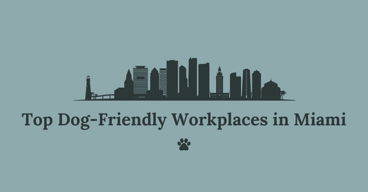 Top Ten Dog-Friendly Workplaces in Miami