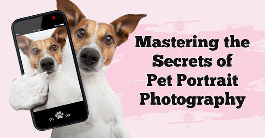 Mastering the Secrets of Pet Portrait Photography