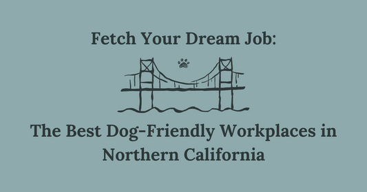 Fetch Your Dream Job: The Best Dog-Friendly Workplaces in Northern California Revealed
