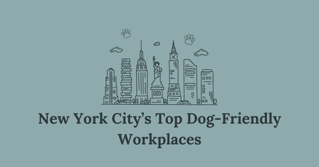 New York City's Top Dog-Friendly Workplaces