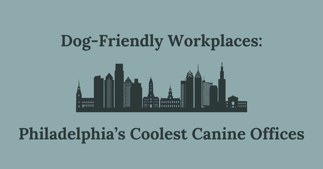 Dog-Friendly Workplaces: Philadelphia's Coolest Canine Offices
