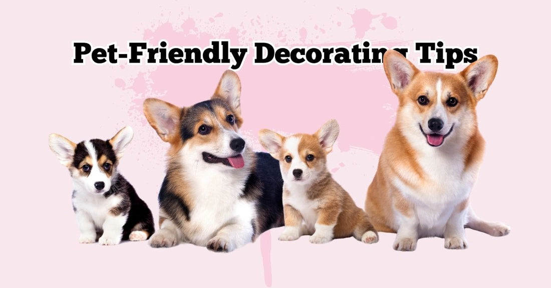 Transform Your Home With These Pet-Friendly Decorating Tips