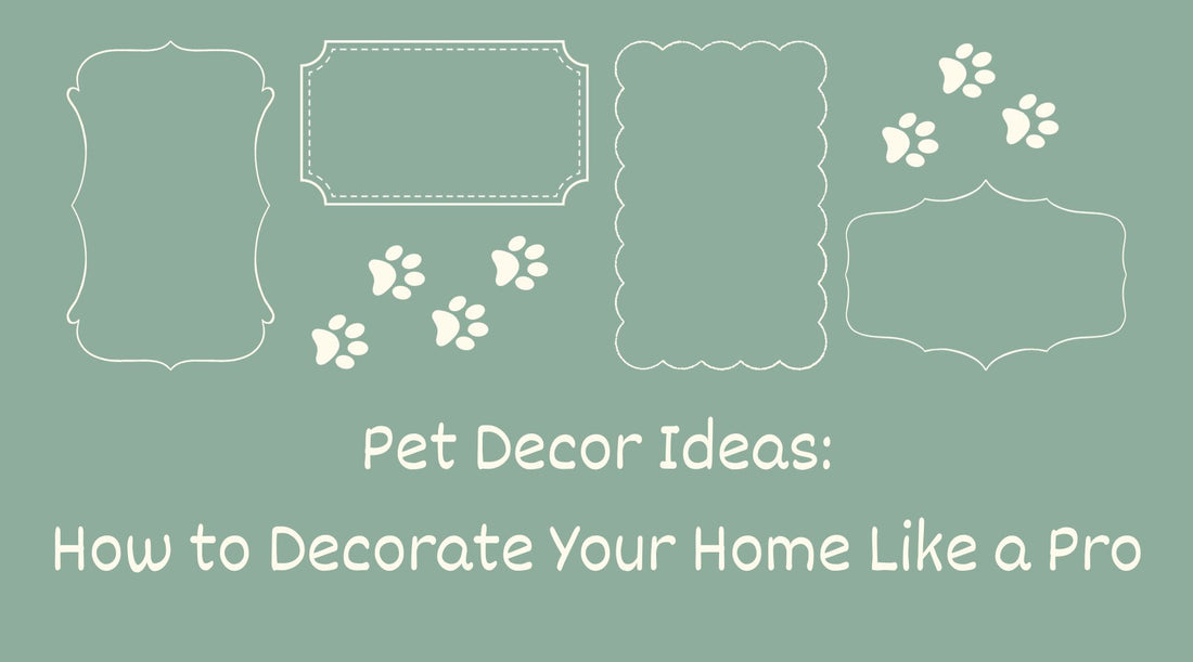 Pet Decor Ideas: How to Decorate Your Home Like a Pro