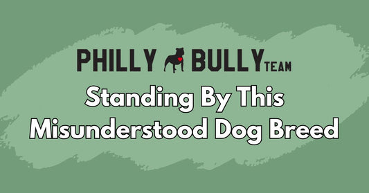Proving the Bullies Wrong | Philly Bully Team