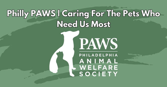 Philly PAWS