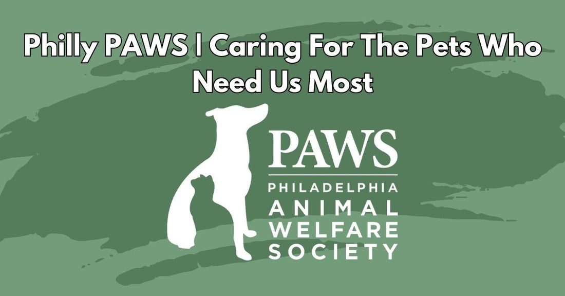 Philly PAWS