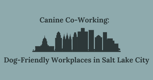 Canine Co-Working: Dog-Friendly Workplaces in Salt Lake City
