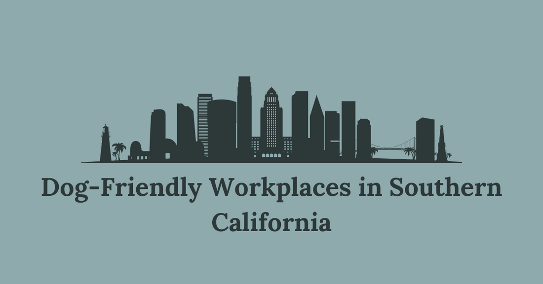 Dog-Friendly Workplaces in Southern California