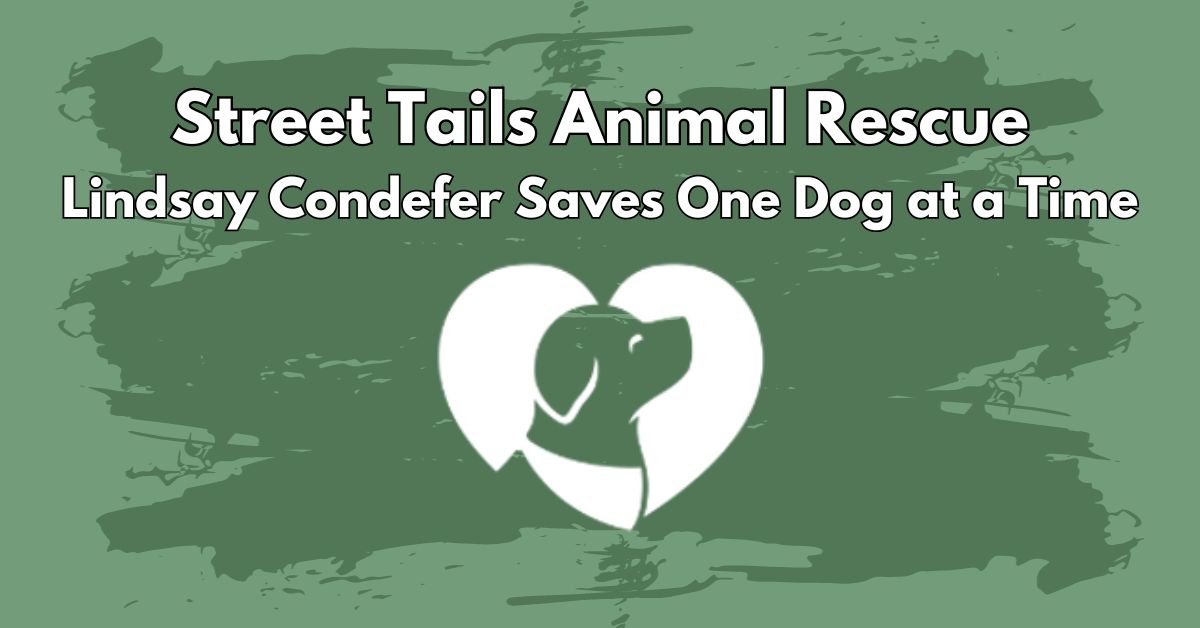 Dog Tails Rescue Wishing on a STAR | Street Tails Animal Rescue – Char and Whiskers