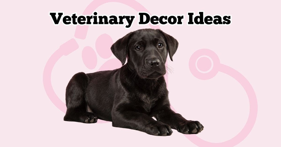 Pawsitively Adorable Veterinary Decor Ideas to Try