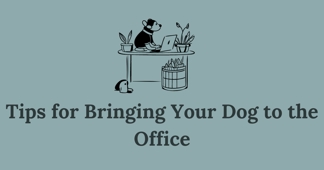 So You Want to Bring Your Dog to the Office… | Tips for Bringing Your Dog to Your Office