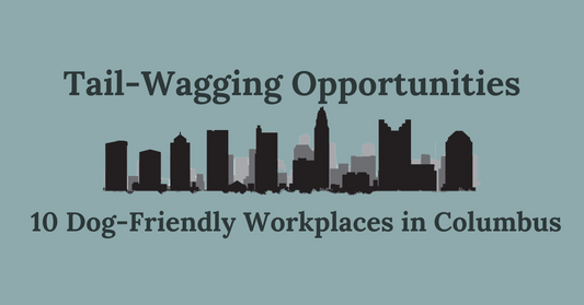 Tail-Wagging Opportunities: 10 Dog-Friendly Workplaces in Columbus