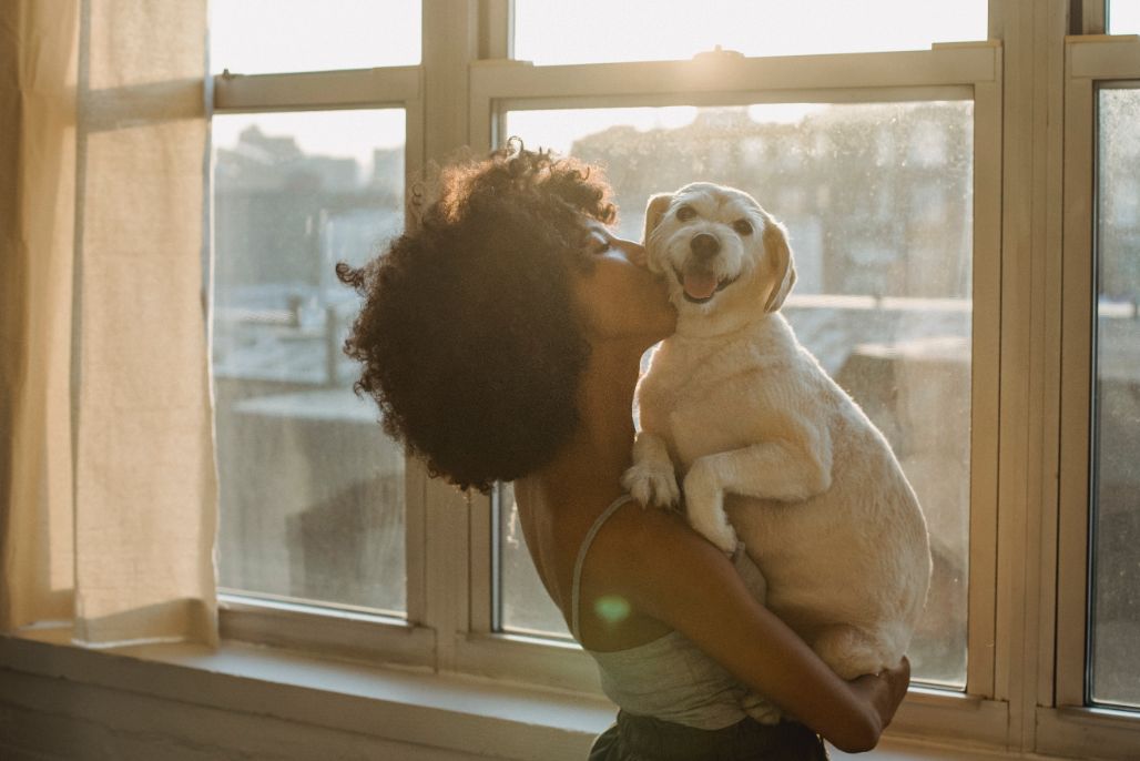 11 Quick Ways To Calm An Anxious Dog