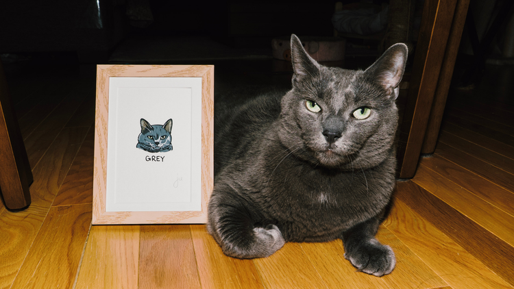 Custom Pet Portraits