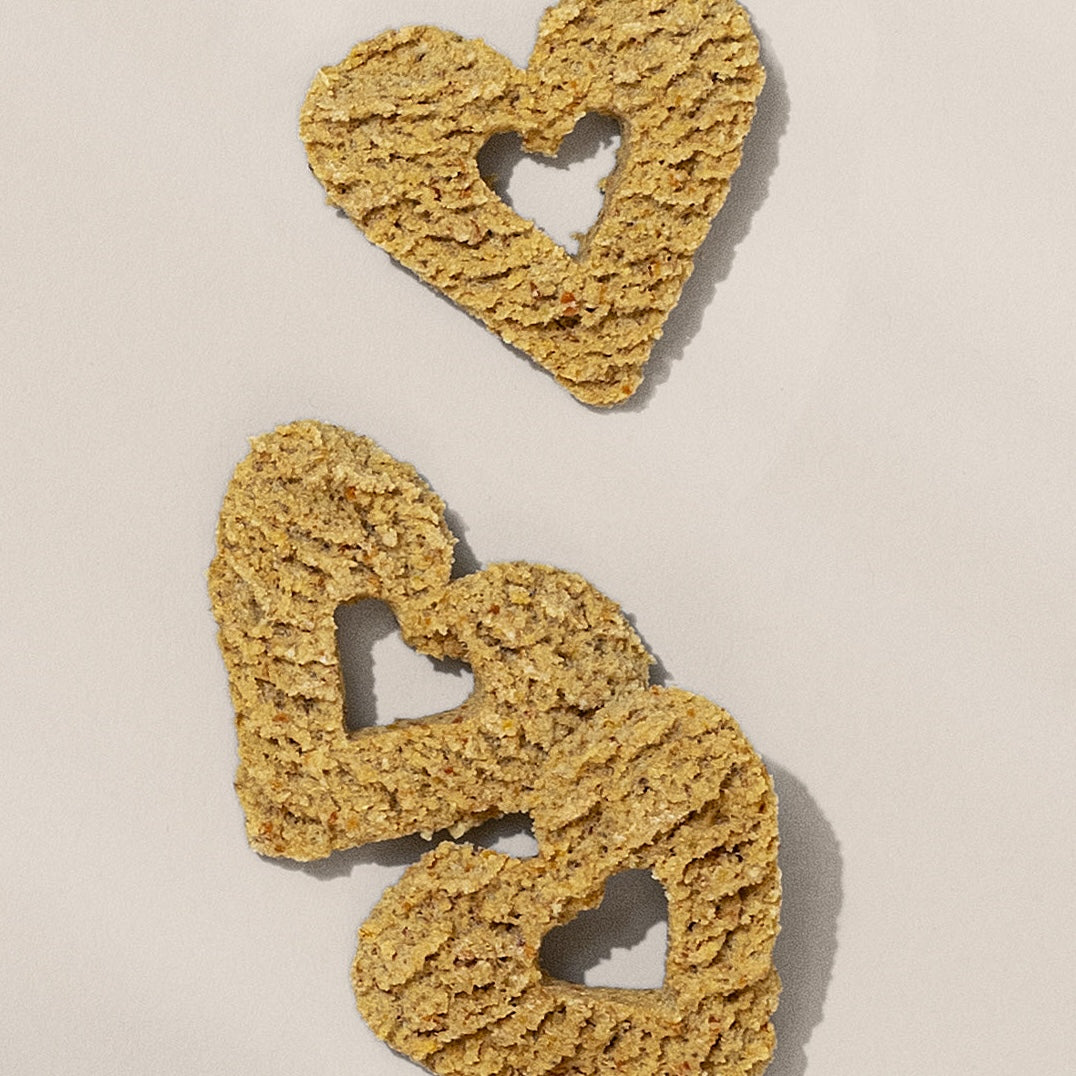 Dashi Delight: Kelp + Tuna Dog Treat for Heart Health