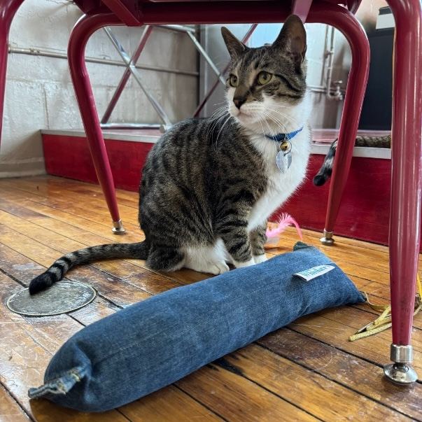 XL Denim Nood Catnip Toy