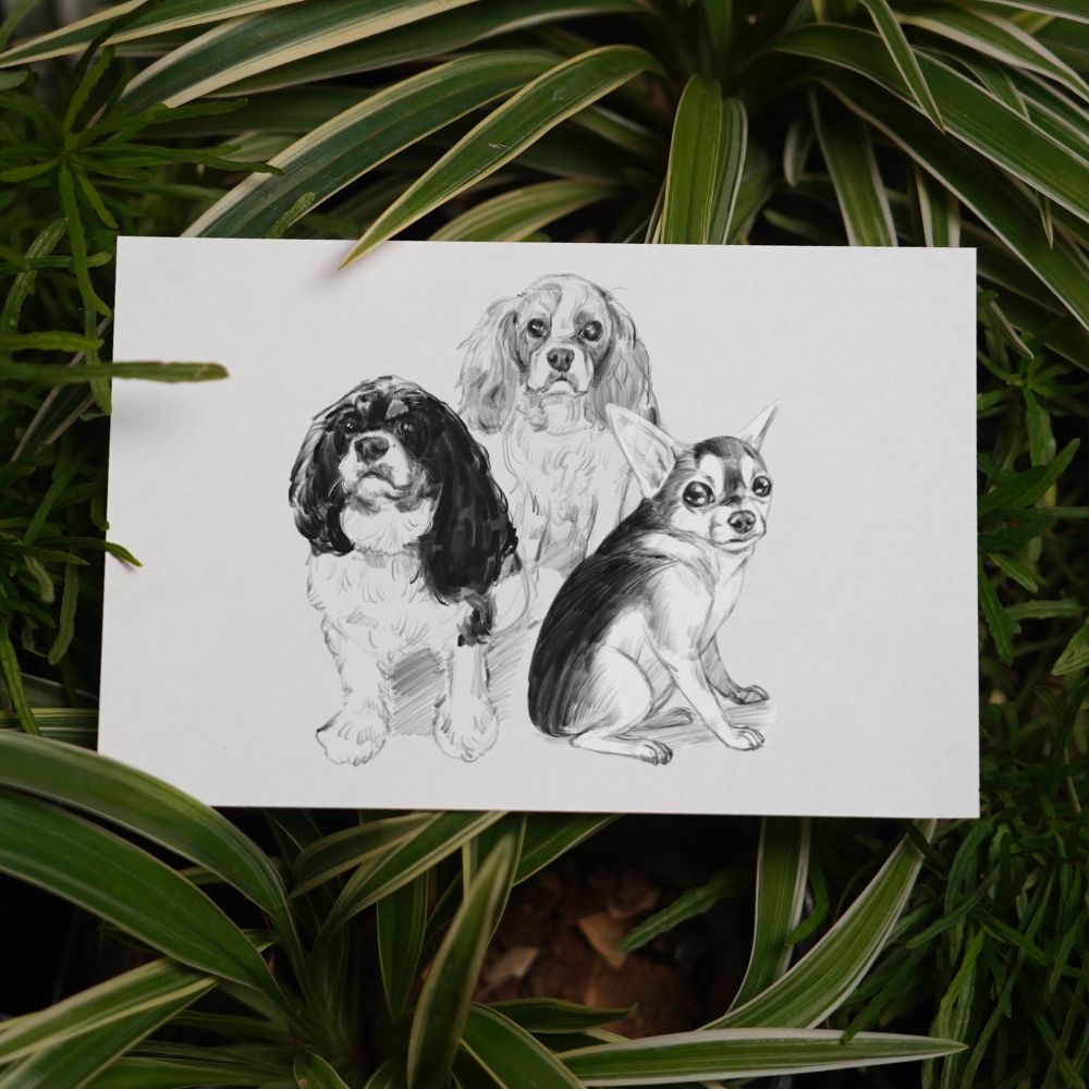 Three Pet Monochrome Sketch Custom Pet Portrait