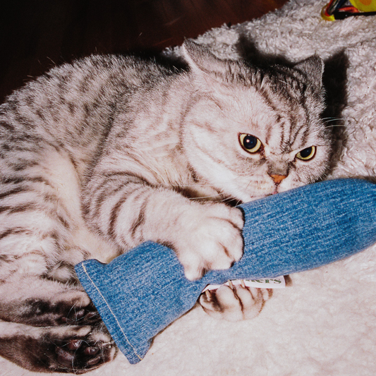 Denim Nood Catnip Kicker Toy