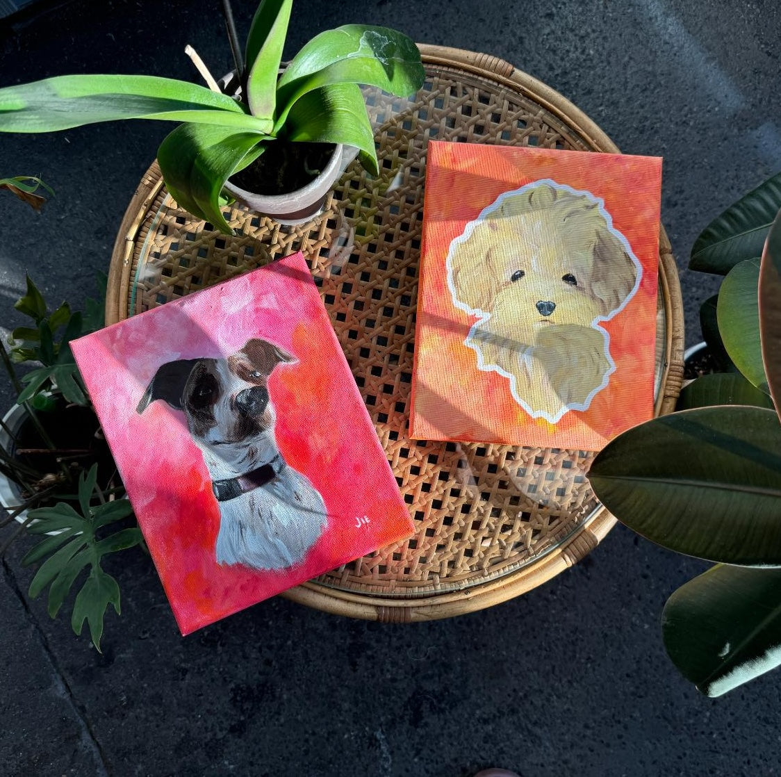 Pet Paint Party