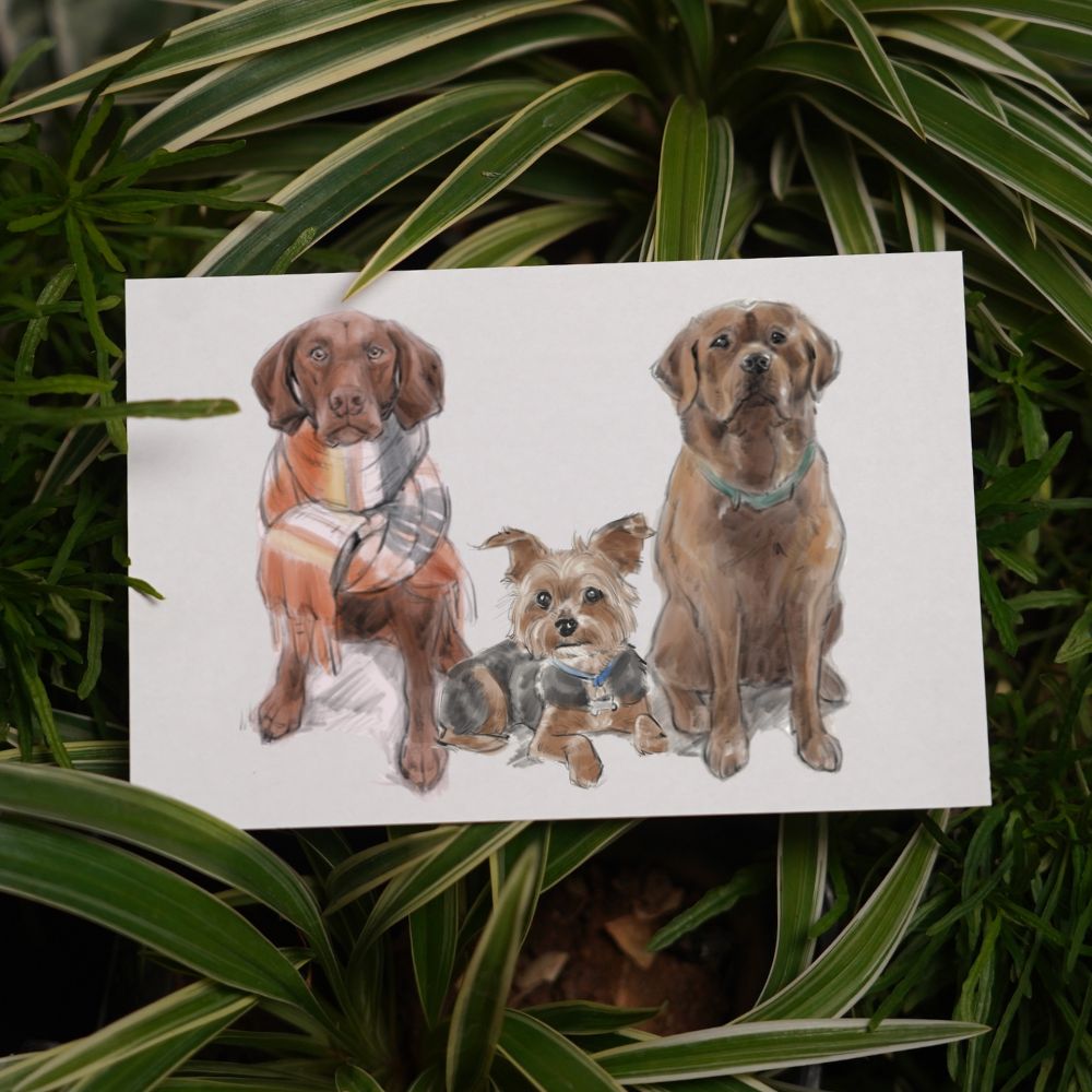 Three Pet Color Sketch Custom Pet Portrait