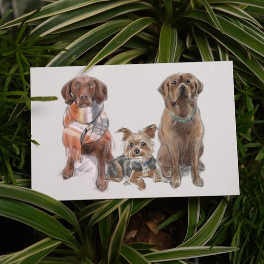 Three Pet Color Sketch Custom Pet Portrait