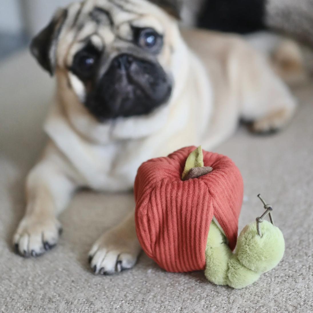 Apple Enrichment Snuffle Toy