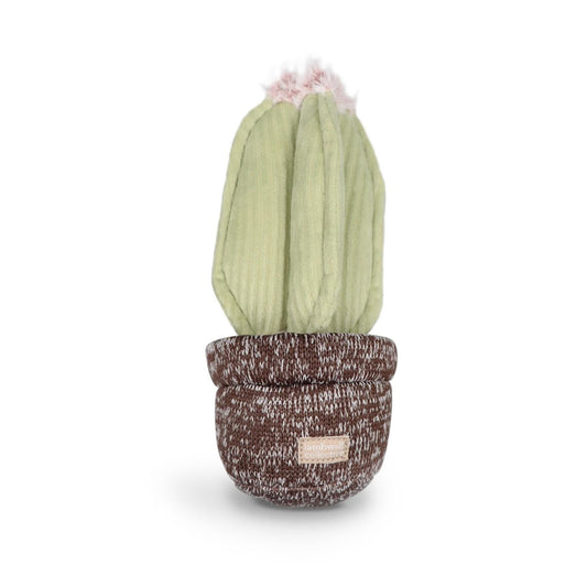 Cactus Snuffle Toy