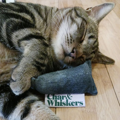 Mini Nugget Catnip Toy