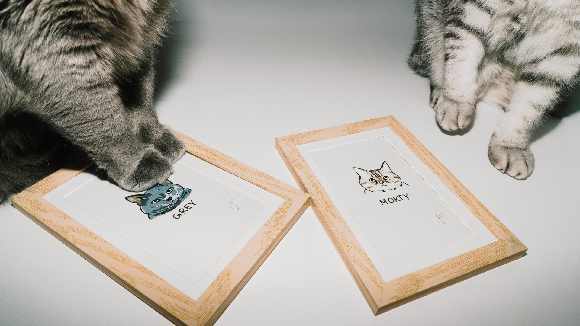 two cats with paws on pet portrait paintings