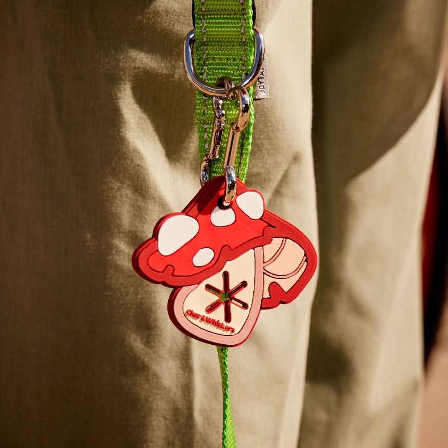 Mushroom Poop Loop – Char and Whiskers